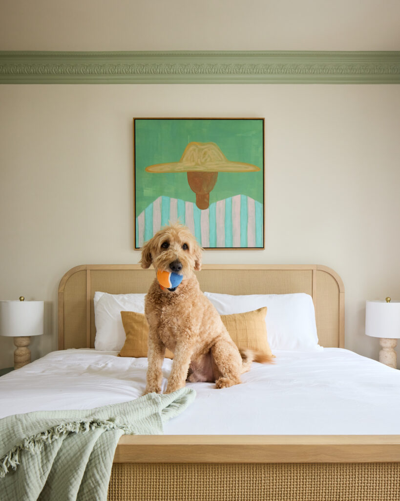 Fluffy dog lounging on a king bed with rattan headboard and sage trim in a Charleston Airbnb